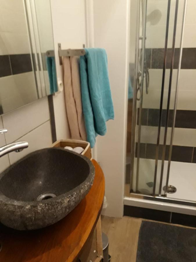 Le Langevin - Appartement Troyes Centre Eksteriør billede